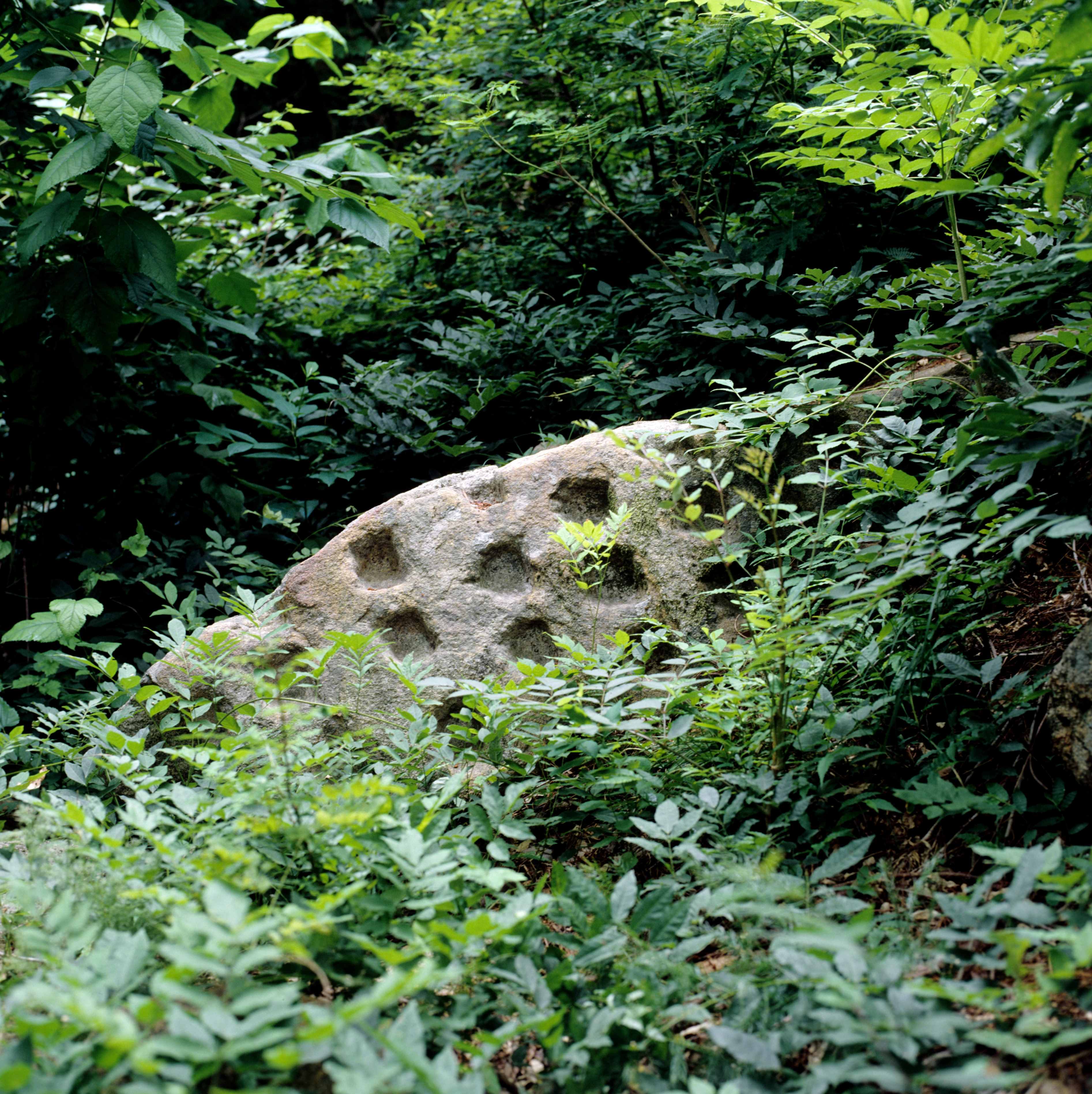 유적_382_경주남산_천동곡-천동탑 원경_경상북도_2000_경주_제1유형.jpg이미지
